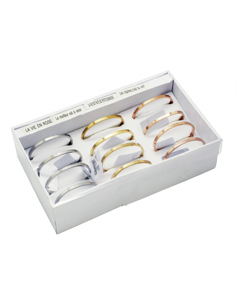 ASSORTIMENT DE BRACELETS ACIER RIGIDES G