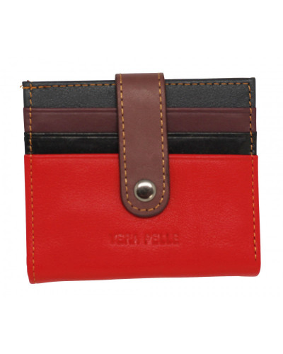 PORTE CARTES/ BILLETS EN CUIR MULTICOUL X3C