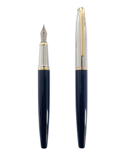 PLUME LAQUE NOIR
