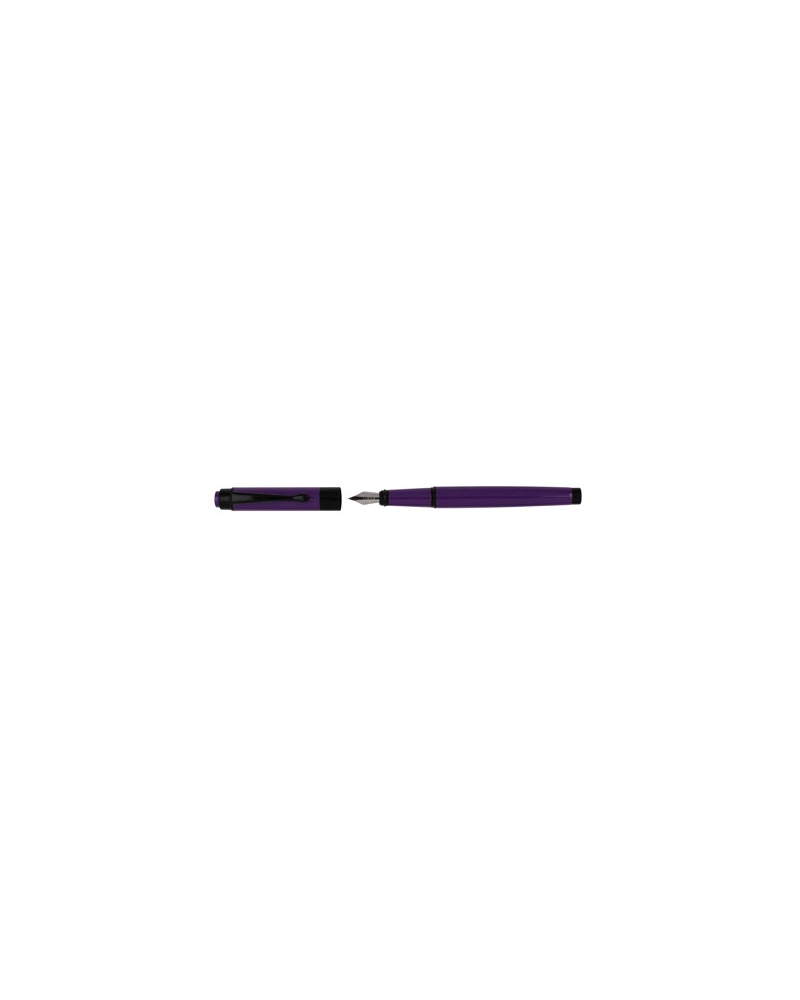 STYLO PLUME LAQUE VIOLET ATTRIBUTS LAQUE